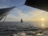 Vendée Globe: dopo la tempesta di emozioni di domenica, una prima serata tranquilla ma intensa. Dalin è in testa