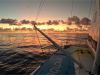 Vendée Globe: Dalin e Richomme in cerca di scambi