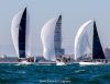 Yacht Club Lignano : sabato 30 novembre ultima tappa del Campionato Autunnale di Lignano Sabbiadoro