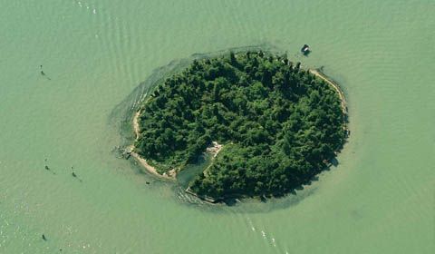 Isola di San Secondo (VE) - Forse il recupero...